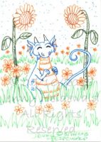 Field of Flowers